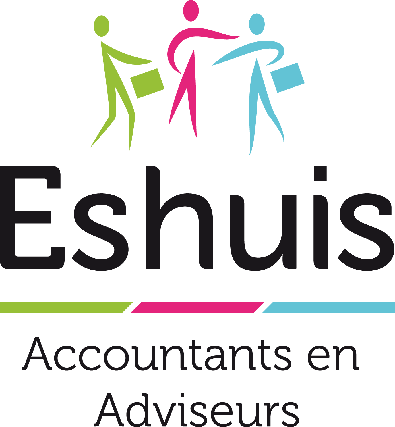Eshuis Accountants en adviseurs